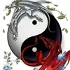 David Folio - @davidfolio - TikTok