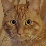 David Foliot - @davidfoliot - Instagram