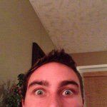 David Folk - @davidfolk - Instagram