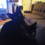 David Folkenberg - @folkenbergdavid61 - Instagram