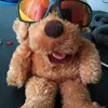Ralph's house - @davidfolkeberg - TikTok