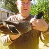 davidfolse658 - @davidfolse658 - TikTok