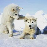 David Fontenot - @fontenot.david - Instagram