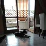 davidefonzi - @davide.fonzi - Instagram