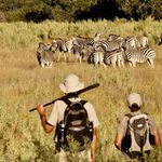 DAVID FOOT SAFARIS - @david.foot.safaris - Instagram