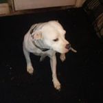 travis david john foraker - @travisdavidjohn - Instagram