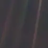 David Foral - @davidforall - TikTok