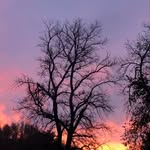David N Lisa Forbush - @lafbush - Instagram