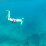 David Forcada Poveda - @davidforcadapoveda - Instagram