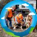 David Forest - Facebook