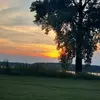 David Forester - @david.forester8 - TikTok