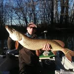 David Forestier - @locaforest - Instagram