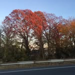David Forge - @dforge_354 - Instagram