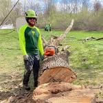 David Forgues - @davidforgues - Instagram