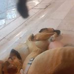 David Formanek - @david.formanek.1800 - Instagram