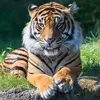 davidformet547 - @davidformet547 - TikTok