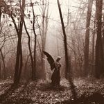 David Formosa - @david_formosa_ - Instagram