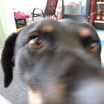 David Foyle - @david.foyle - Instagram