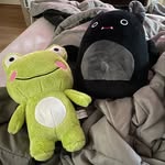 david foyle - @coochieandpoopie - Instagram