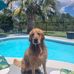 David Fram - Facebook