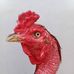 David Fram - Facebook