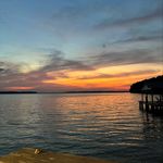 David Freeman - @david.freeman3 - Instagram