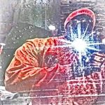 David Freshour - @davidfreshfreshour.12382 - Instagram