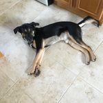 David Fried - @meinkar - Instagram