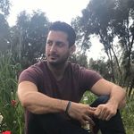 David Fried - @david__fried - Instagram