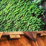 David Fried - @davidfried - Instagram