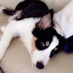 Fuji David - @fuji_david - Instagram