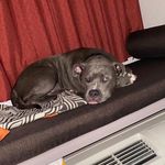 David Fultz - @david.fultz2022 - Instagram