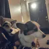 davyfhi - @davidfhi - TikTok