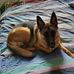 Dave Gallivan - Facebook