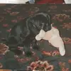 David568922 - @david.galvin05 - TikTok