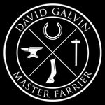 David Galvin - @davidgalvin.farrier - Instagram