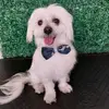 David Gamarra - @david.gamarra13 - TikTok