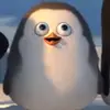 david_gamboa30 - @david_gamboa30 - TikTok
