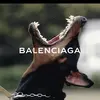 david garduno - @david.garduno3 - TikTok