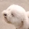 davidgarfield166348 - @davidgarfield166348 - TikTok