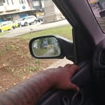 David Garibaldi - @david.garibaldi.1654 - Instagram