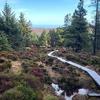 David Garrigan - @david.garrigan7 - TikTok