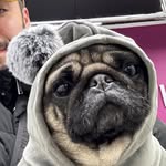 David Garryyev - @davidgarryyev - Instagram