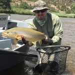 David Garst - @garst808 - Instagram