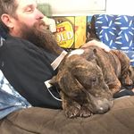 David Garton - @david.garton.733 - Instagram