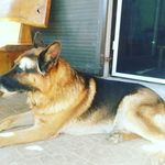 David Gaßner - @d.gassner - Instagram