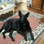 David Gatewood - @gatewood4987 - Instagram