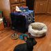 David Gatewood - Facebook