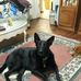 David Gatewood - Facebook