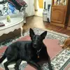 David Gatewood - @david.gatewood5 - TikTok
